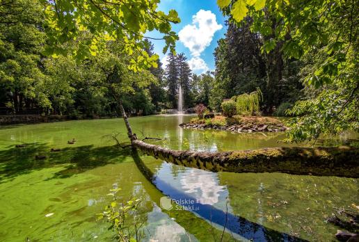 Szczawno Zdrój Park Szwedzki