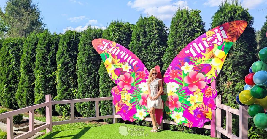 Farma Iluzji - tutaj magicznie wszyscy bawią się wyśmienicie! - zdjęcie