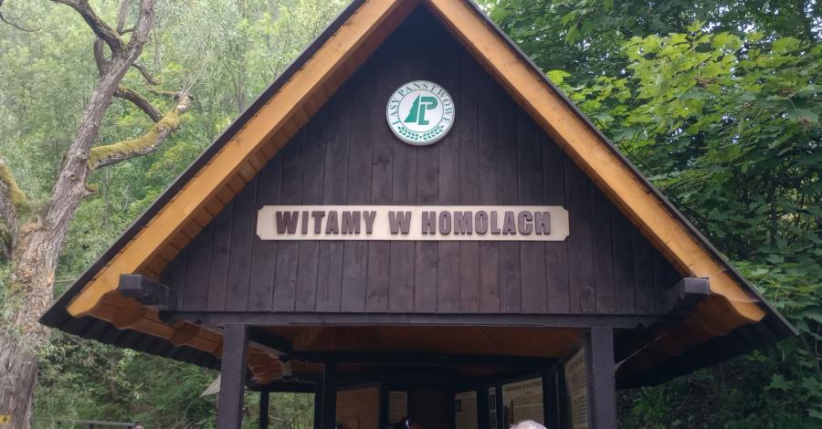 Wysoka w Pieninach - zdjęcie