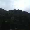 , mirosław