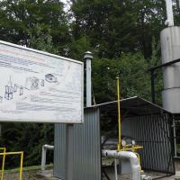 Muzeum Przemysłu Naftowego i Gazowniczego w Bóbrce, Joanna
