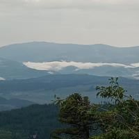 , mirosław