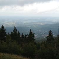 , mirosław
