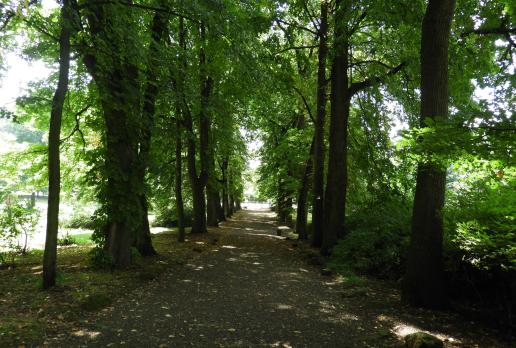 park dworski w Żarnowcu, Joanna