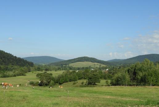 ścieżka Hałbów - Kamień, Joanna