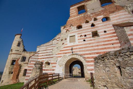 Zamek w Janowcu