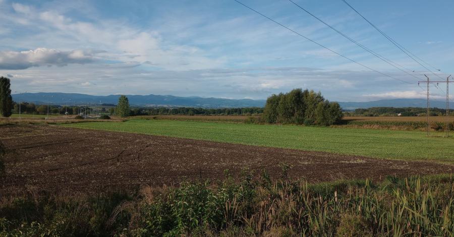Kolejny szczyt do korony-Jagodna - zdjęcie
