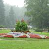 Iwonicz Zdrój - park zdrojowy w deszczu, Joanna