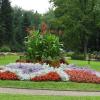 Iwonicz Zdrój - park zdrojowy po deszczu, Joanna
