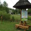 Olchowiec, Joanna