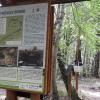 ścieżka przyrodniczo-historyczna Olchowiec, Przełęcz Beskid, Joanna