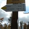 , mirosław