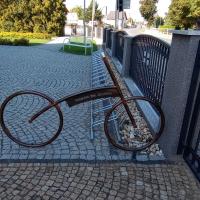 , mirosław