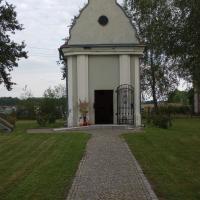 , mirosław