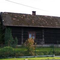, mirosław