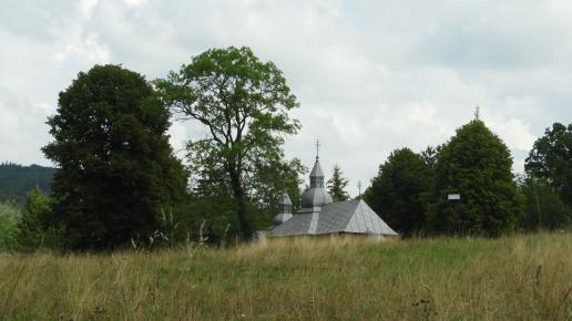 Olchowiec, Joanna