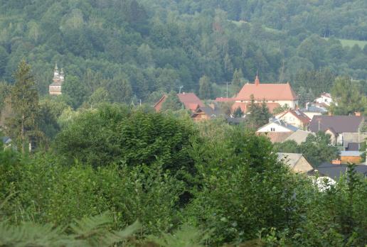 widok na Krempną, Joanna