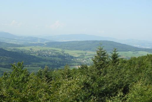widok z wieży na Ferdlu, Joanna