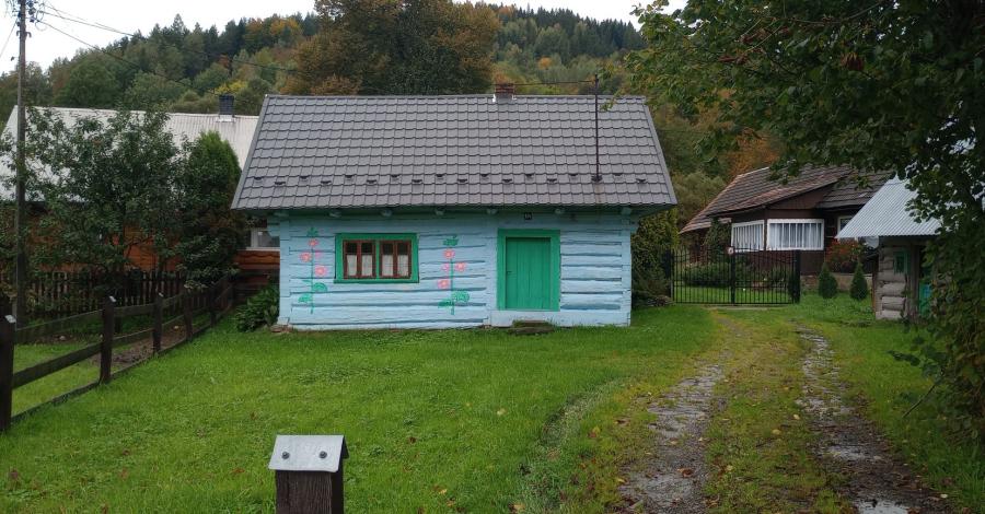 Mędralowa w Beskidzie Żywieckim - zdjęcie