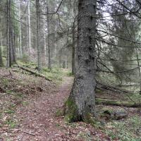 ścieżka Jezioro Kalejty, Joanna