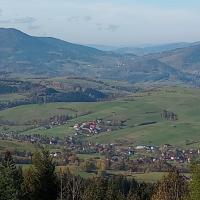 , mirosław