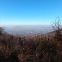 , mirosław