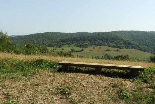 w drodze na Wysokie, Joanna