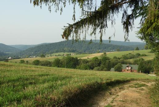 ostatnie spojrzenie na Beskid Niski przed wyjazdem, Joanna