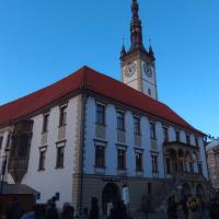 , mirosław