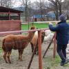 , marian