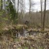 Czarna Białostocka - wokół Zalewu Czapielówka, Joanna