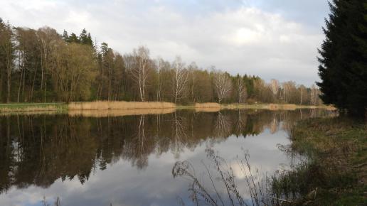 Czarna Białostocka - Zalew Czapielówka, Joanna