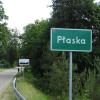 Płaska, Joanna