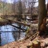 wzdłuż Wiercicy, Magdalena