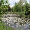 arboretum w Rogowie, Magdalena