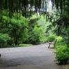 Ogród Botaniczny, Magdalena
