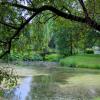 Ogród Botaniczny, Magdalena