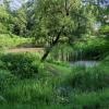 Ogród Botaniczny, Magdalena
