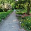 Ogród Botaniczny, Magdalena