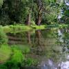 Ogród Botaniczny, Magdalena