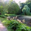 Ogród Botaniczny, Magdalena