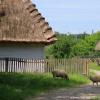 Powiśle, Magdalena