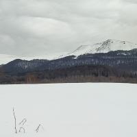 ku Przełęczy Bukowskiej - widok na Tarnicę, Magdalena