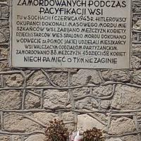 , mirosław