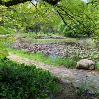 arboretum w Rogowie, Magdalena