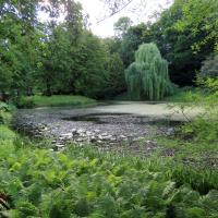 Ogród Botaniczny, Magdalena