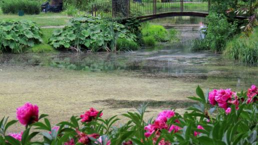 Ogród Botaniczny, Magdalena