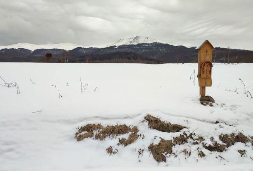 ku Przełęczy Bukowskiej - widok na Tarnicę, Magdalena