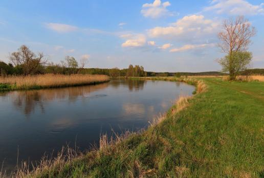 Warta w okolicy Granatowych Źródeł, Magdalena