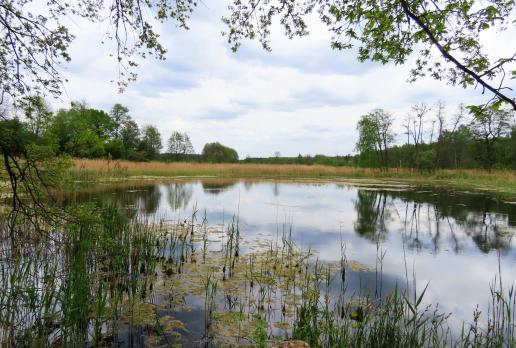 Pałac w Nieborowie, Magdalena